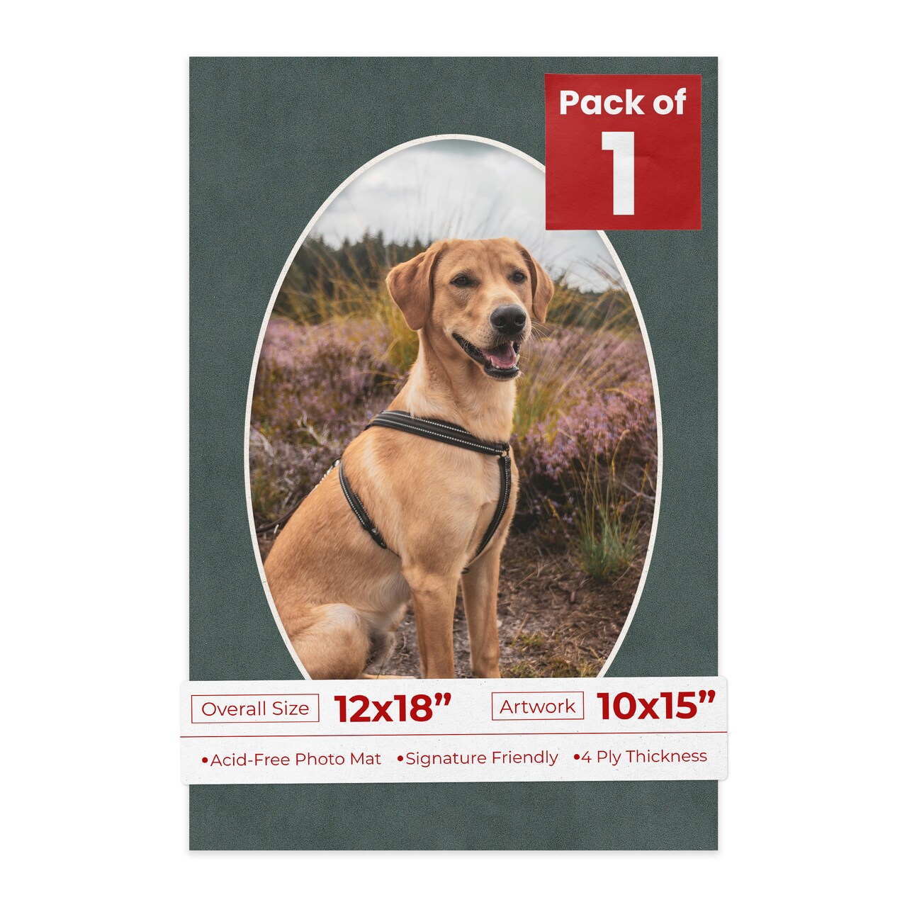 Dark Grey Suede Mat Board for 12x18 Frames - Oval Opening for 10x15 Photos